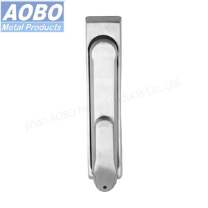 Stainless Steel Swinghandle with Dust Cover