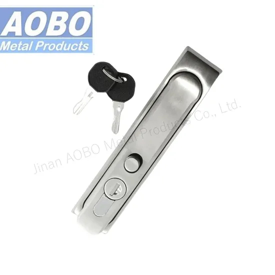 Aobo Padlock Clasp Swing Handle Stainless Steel 2p. Rod Control Plane Lock Swinghandle with Master Key