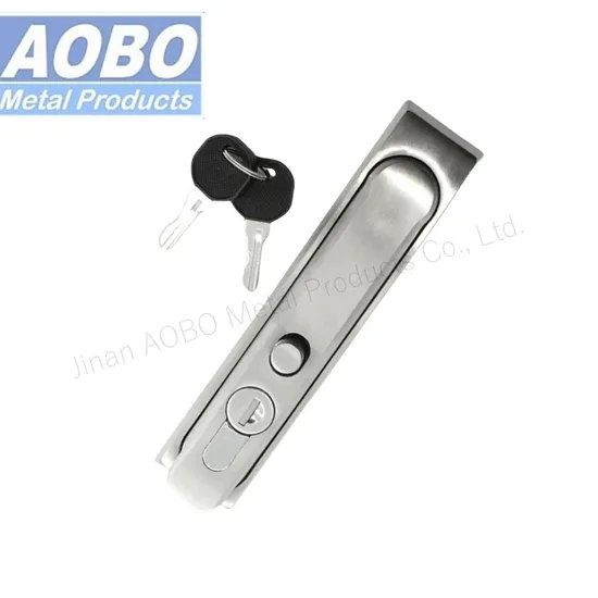 Aobo Padlock Clasp Swing Handle Stainless Steel 2p. Rod Control Plane Lock Swinghandle with Master Key