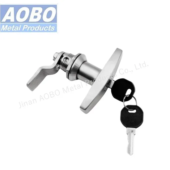 Stainless Steel SUS316 IP65/66 Control Box Cam Electrical Quarter Turn Panel Latch Cabinet T Handle Key Lock