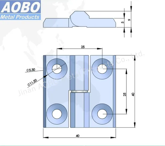 Aobo Stainless Steel 316 40mm Right Version Distribution Cabinet Door Hinge with Countersunk Screw M5