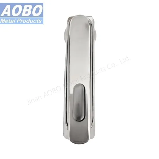 Professional Made Excellent Quality Stainless Steel Swinghandle Plane Lock with Padlock
