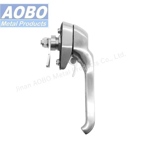Aobo Padlock Handle Stainless Steel 316 Heavy Duty Industrial Compact Defeater Swinghandle Cabinet Enclosure Door Handle Lock