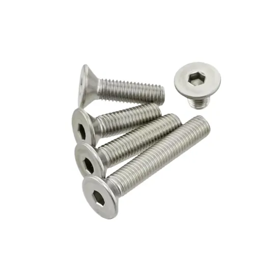 AISI 316 Allen Milled Head Screws M2 M3 M4 M5 M6 M10
