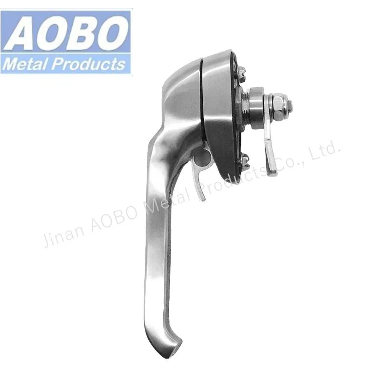 Aobo Padlock Handle Stainless Steel 316 Heavy Duty Industrial Compact Defeater Swinghandle Cabinet Enclosure Door Handle Lock