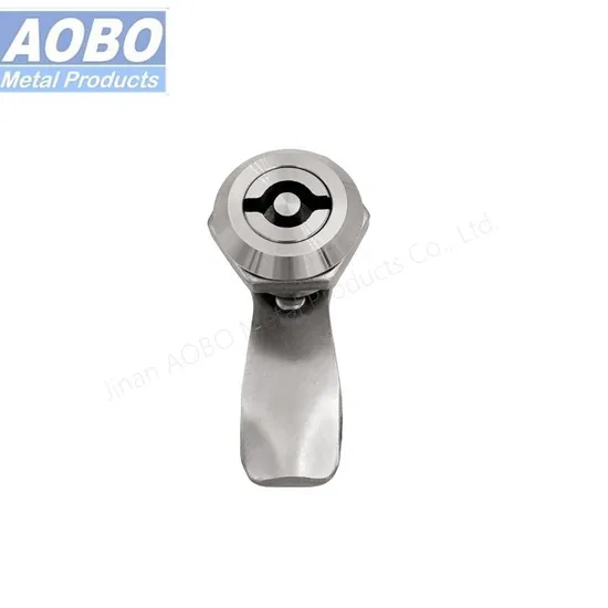 Aobo Customizable Stainless Steel 316 Housing Double Bit 5mm Insert IP65 Electronic Cabinet Cam Lock