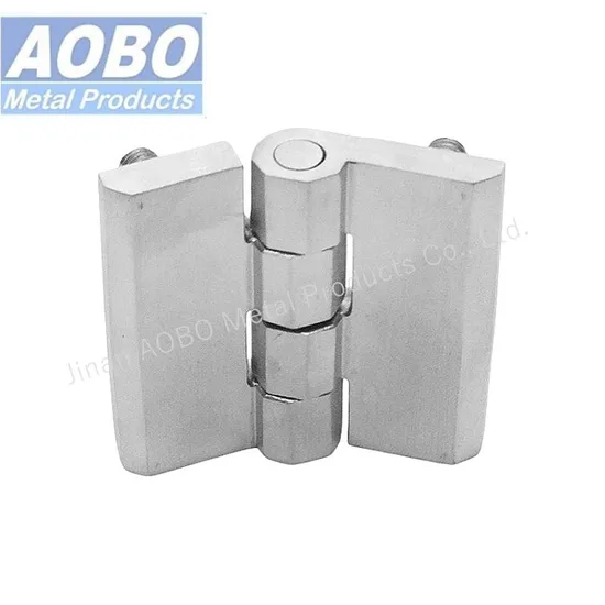 Stainless Steel S. S 316 Enclosure Torque Butt Hinge with Exterior Coaxial Studs Mechanical Drilling Electric Panel Door Bisagras