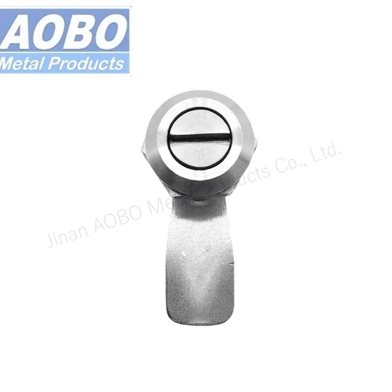 Aobo Stainless Steel 316 Quarter Turn 2X4 Slot Cam Lock Cylinder Lock