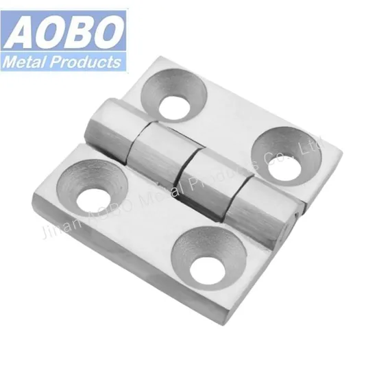 S. S 60X60mm Leaf Cabinet Enclosure Hinge with Holes for Electrical Cabinet