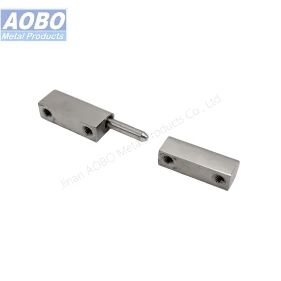 Customized Electrical Cabinet Box Hidden Concealed Hinge Stainless Steel 180-Degree Detachable Lift-off Hinge