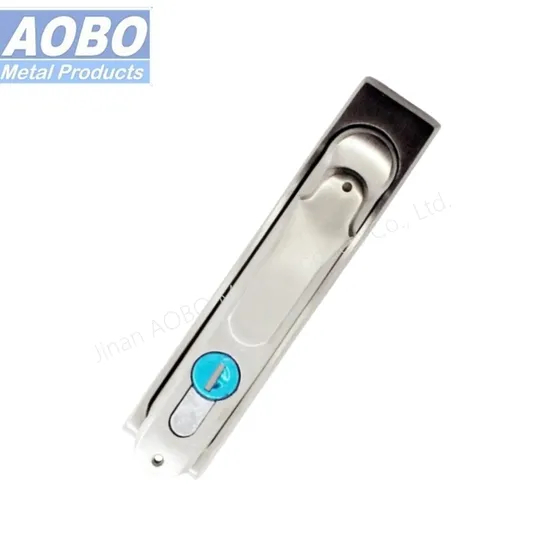 Aobo Factory Precision Casting SS316 Swinghandle Plane Electrical Cabinet Dust Cover Door Lock with Key 1333