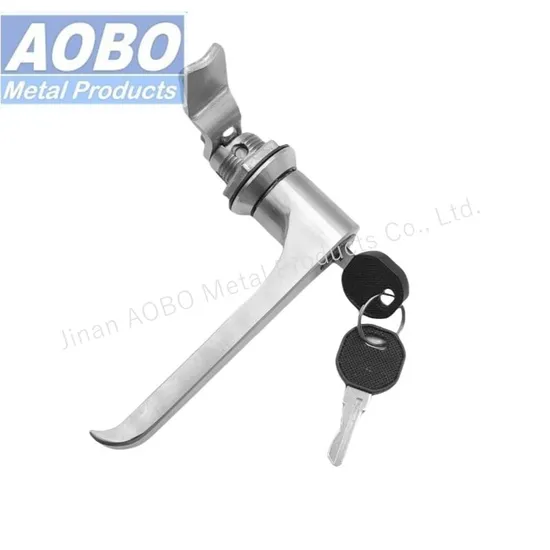 Aobo L Handle with Cylinder Stainless Steel 316 Heavy Duty Hardware 1/4 Turn Lock Furniture Door for Electric Rittal Cabinet