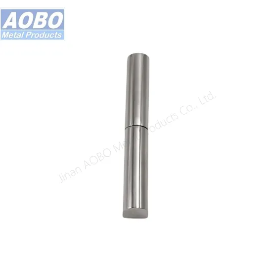 Aobo Stainless Steel Detachable Hinge ISO9001 Invisible Door Glass Hinges