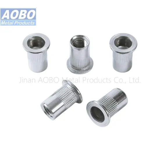 Aobo M3 M4 M5 M6 M8 M10 M12 Flat Head Knurled Body Stainless Threaded Insert Rivet Nut