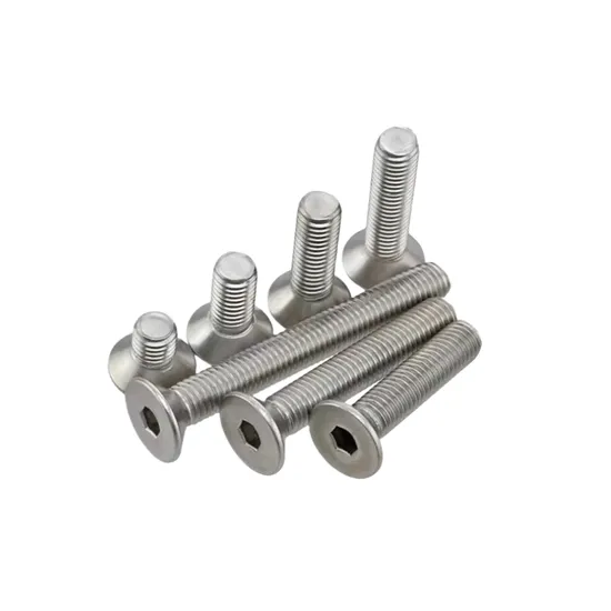 AISI 316 Allen Milled Head Screws M2 M3 M4 M5 M6 M10