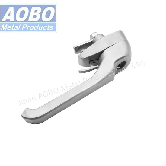 2024 New Design Stainless Steel Professional Factory Handle Padlock Lock Handle Door Lock Swing Handle Latch for Industrial Electrical Cabinet