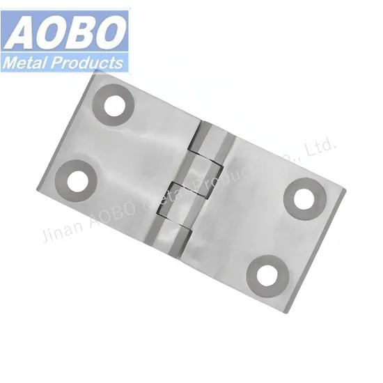 Aobo SUS 316 Screw-on 60X120 Electrical Cabinet Industrial Cabinet Door Hinge