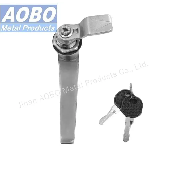 Stainless Steel Distribution Box General Flat Industrial Electric Cabinet Door L Handle Panel Customized Locks with Key