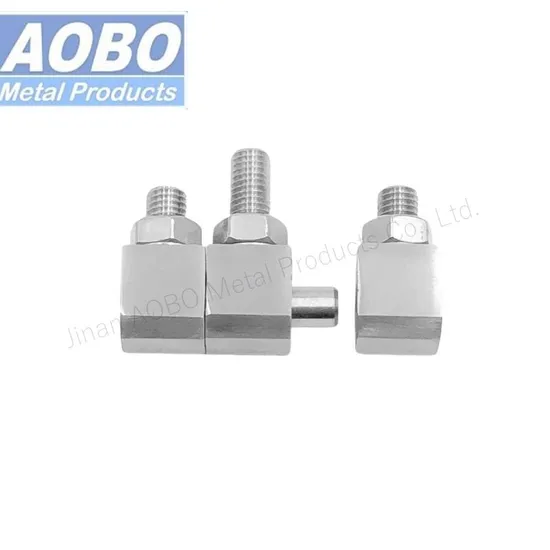 Locking Doors Drawing Stainless Steel Adjustable Side Prominent Hinges