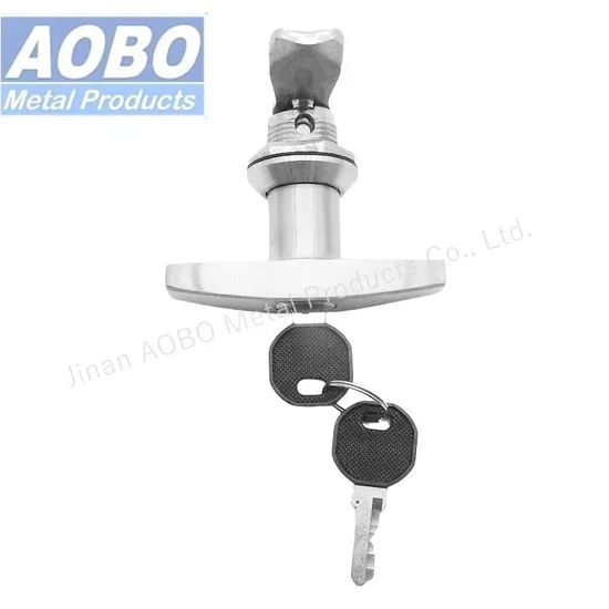 Zinc Alloy Cylinder Stainless Steel Industrial Quarter Turn Cam Lock Latch Electrical Rittal Panel Lock Key T Handle